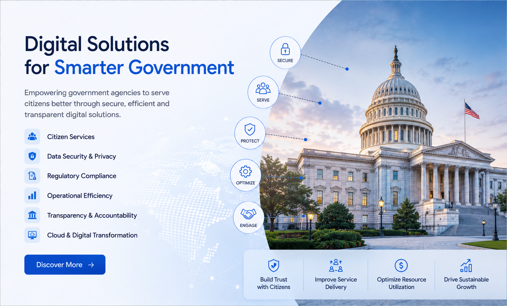 Government Software Consulting
